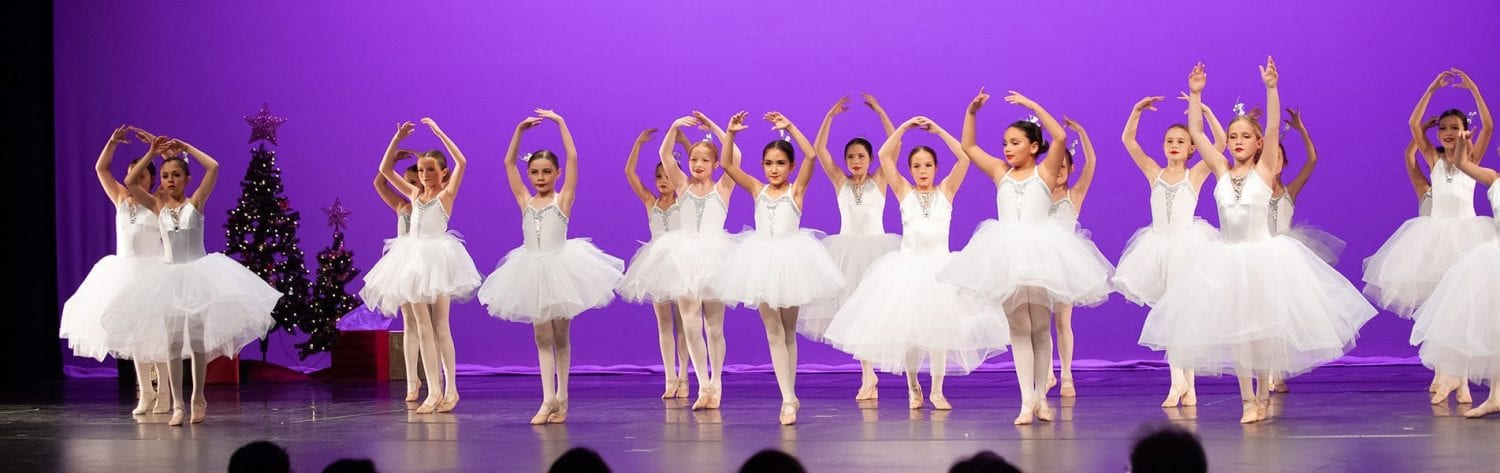 Holiday show performance